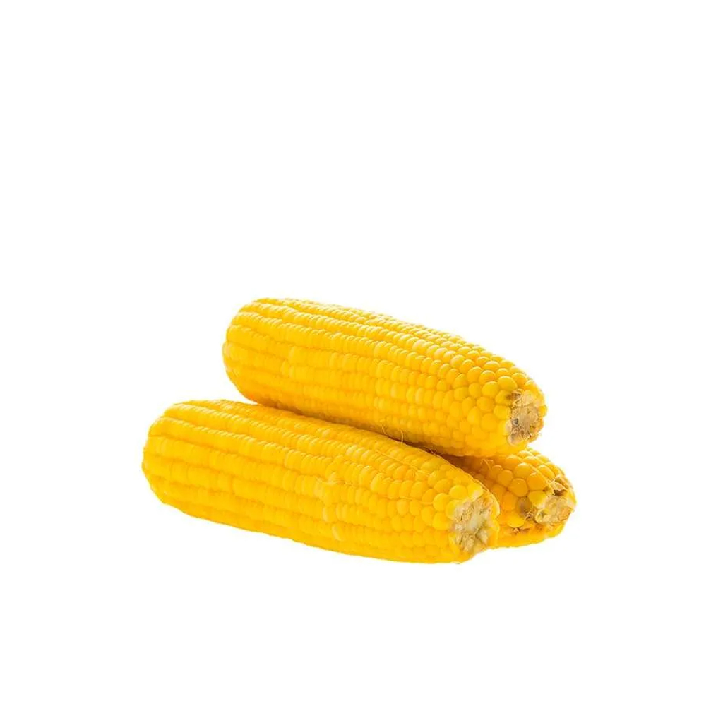 corn